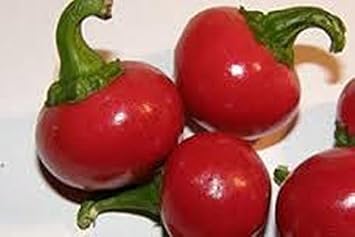 Red Cherry Sweet Pepper Seeds for Planting heirloom & Non-GMO Seeds